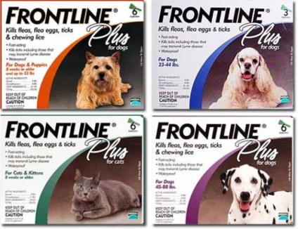 Frontline aposta na Mix Brand Experience 