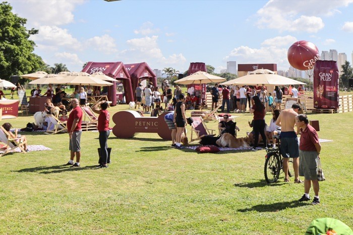 gran plus evento cães