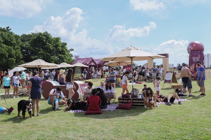 gran plus evento cães
