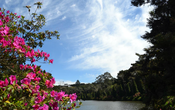 Lagoa Negra.