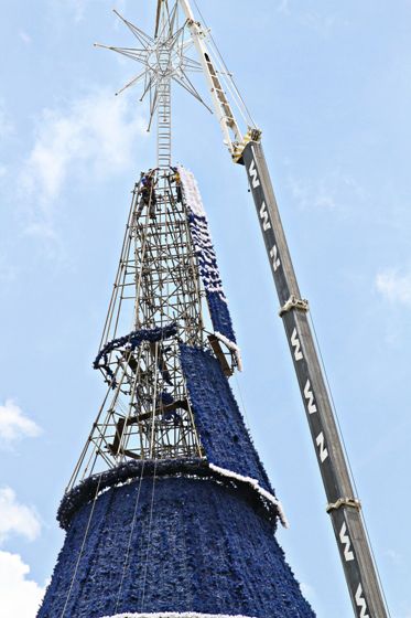 Árvore da Guarapiranga ganha sua estrela de Natal