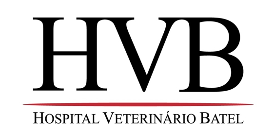 Let’s Midia assume a conta do Hospital Veterinário Batel