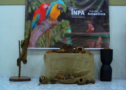 Promo do Globo Ecologia leva universitário ao Inpa