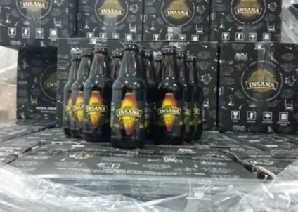 Cerveja de pinhão sustentável chega ao mercado nacional