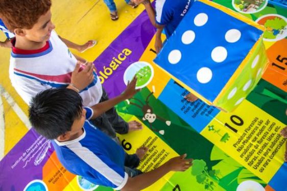 Instituto Mamiraua jogos didaticos