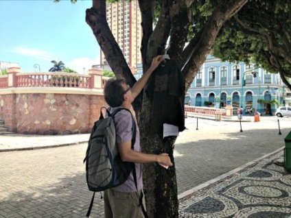 Árvores de Manaus ganham roupas em ação 