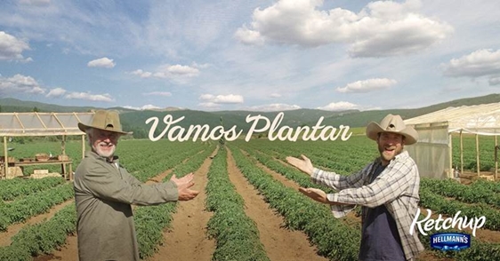Ketchup Hellmann’s leva internautas para conhecer fazenda