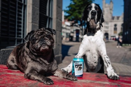 BrewDog posta foto de cães abandonados em suas latas