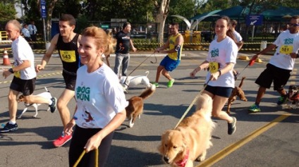 6ª SP Dog Run acontece no Shopping SP Market