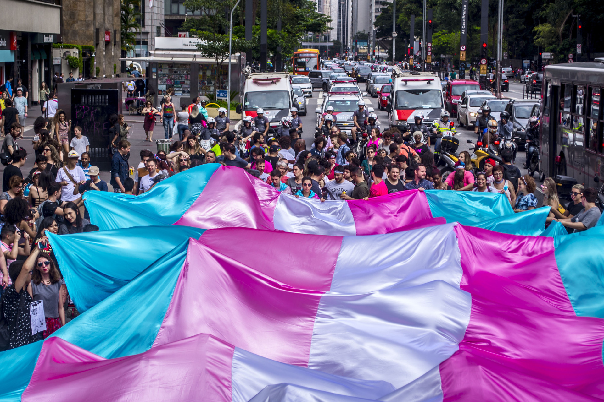 quem disse berenice marcha trans 