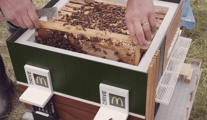 mcdonalds abelha