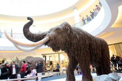 ParkshoppingCampoGrande expõe os gigantes