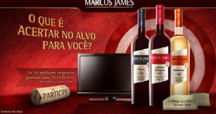 Acertando no alvo com Marcus James