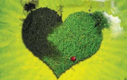 Unilever repercute pesquisa do Ministério do Meio Ambiente