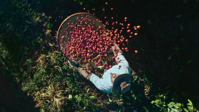 nescafé