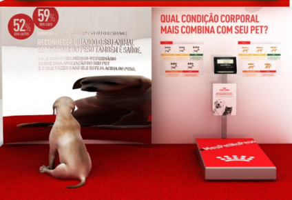 Royal Canin promove “Pop-ups” para falar de obesidade animal