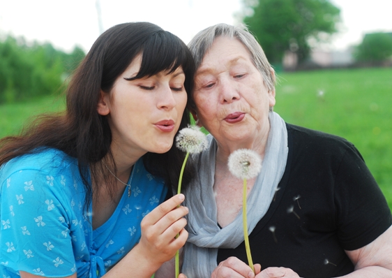 Happy grandmother and grand daughter with dandelions on the meadow