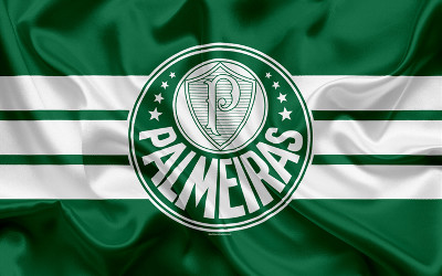 palmeiras jogue na academia