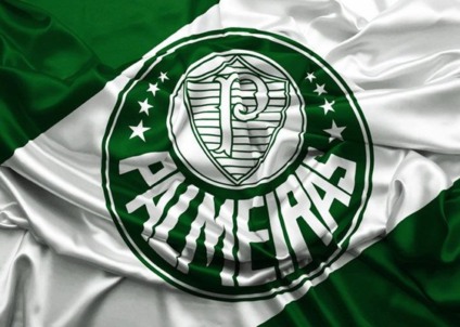 Palmeiras busca franqueadora master de escolinhas