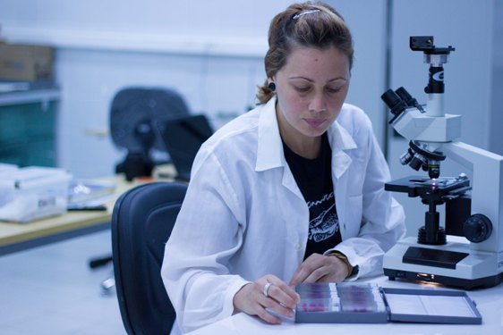 Pesquisa em laboratório.