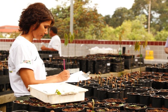 Pesquisa de ecologia florestal.