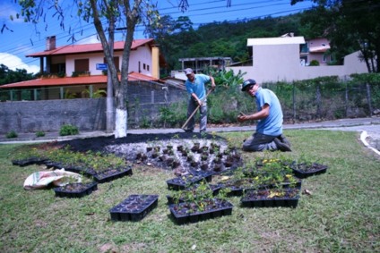 Sou Bem Floripa planta mais de mil mudas de plantas