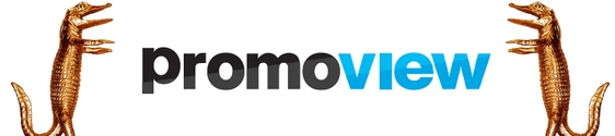 Promoview recebe Prêmio Caio por dedicação ao mercado