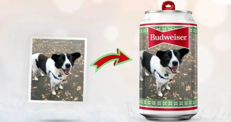 Foto dos pets dos clientes estampam latas da Budweiser