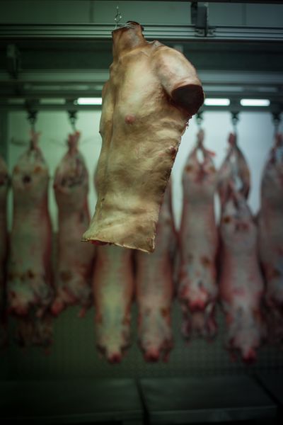 Capcom promove Resident Evil 6 com 'carne humana'