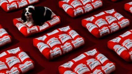 Budweiser dá um lugar especial para os pets nas finais da NBA