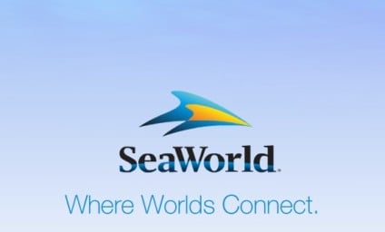 Sea World aposta em turismo corporativo brasileiro
