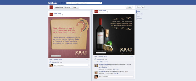 The Aubergine Panda conquista conta do Miolo Wine Group