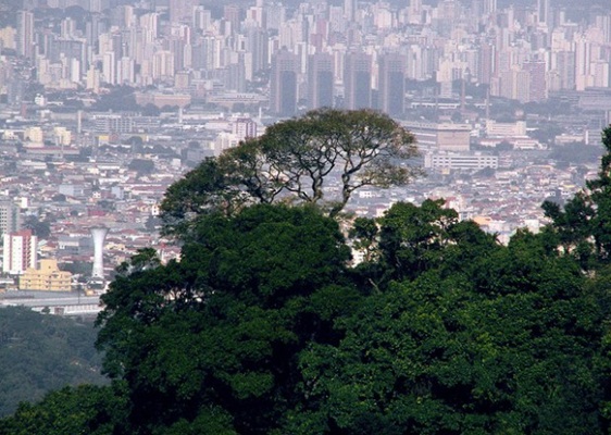 WWF e SMA estimulam a conservação ambiental