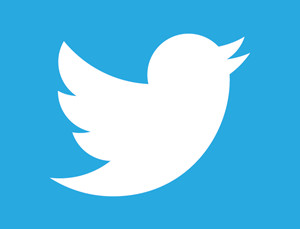 twitter logo