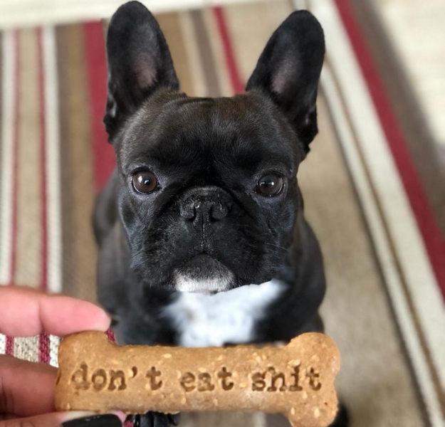 WhataFuck cria biscoito para cães com sabor de hambúrguer