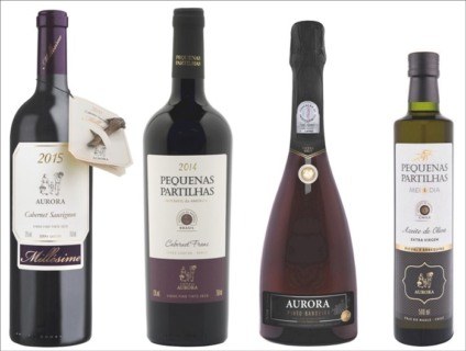 Vinícola Aurora vai movimentar o Vinho na Vila São Paulo