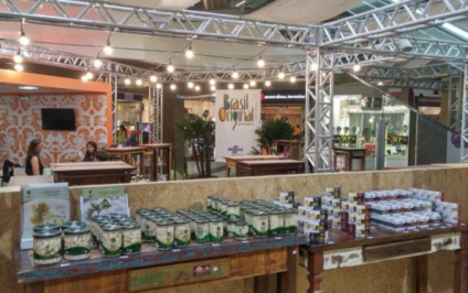 Voe Ideias produz oitava edição da Vitrine Aroma