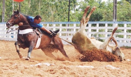 Vaquejada passa a ser considerada esporte