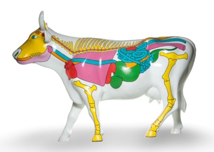 CowParade chega a Chapecó