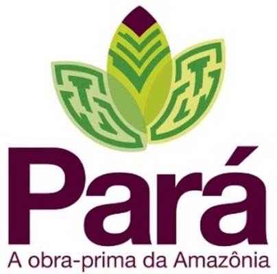 Turismo de eventos fortalece a economia no Pará
