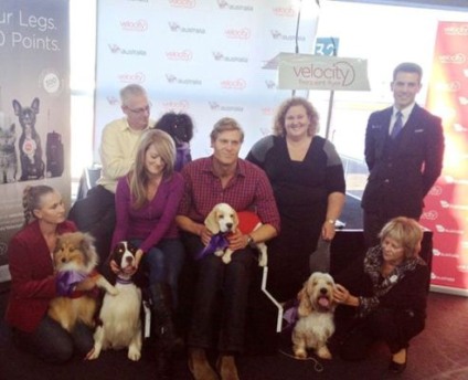 Virgin Australia lança programa de fidelidade para animais