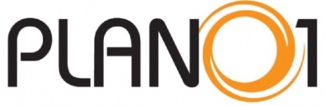 Plano1 cresceu 15% em 2010 