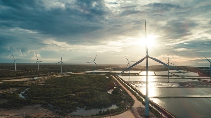 Heineken anuncia estratégia de sustentabilidade