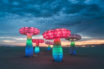 Burning Man ganha exposição em Washington