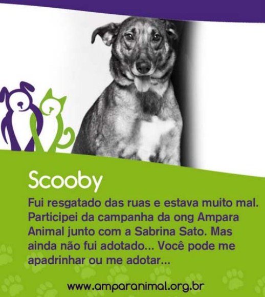 MorumbiShopping organiza evento para adoção de cães