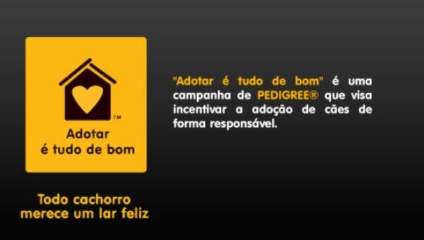 Adotar é tudo de bom está no YouTube