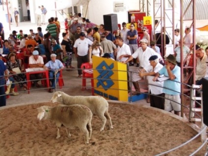 SC terá 13 feiras e exposições agropecuárias