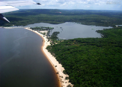 Dia da Amazônia: temos motivos para festejar?