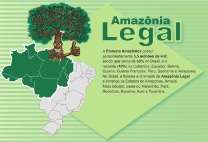 Unicef reúne a Amazônia Legal em Manaus