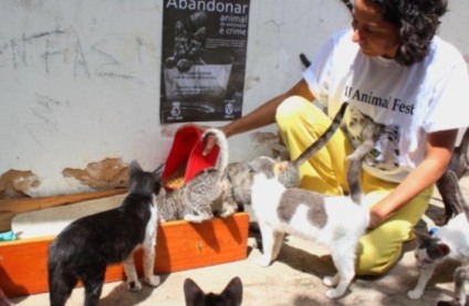 II Animal Fest reunirá protetores voluntários